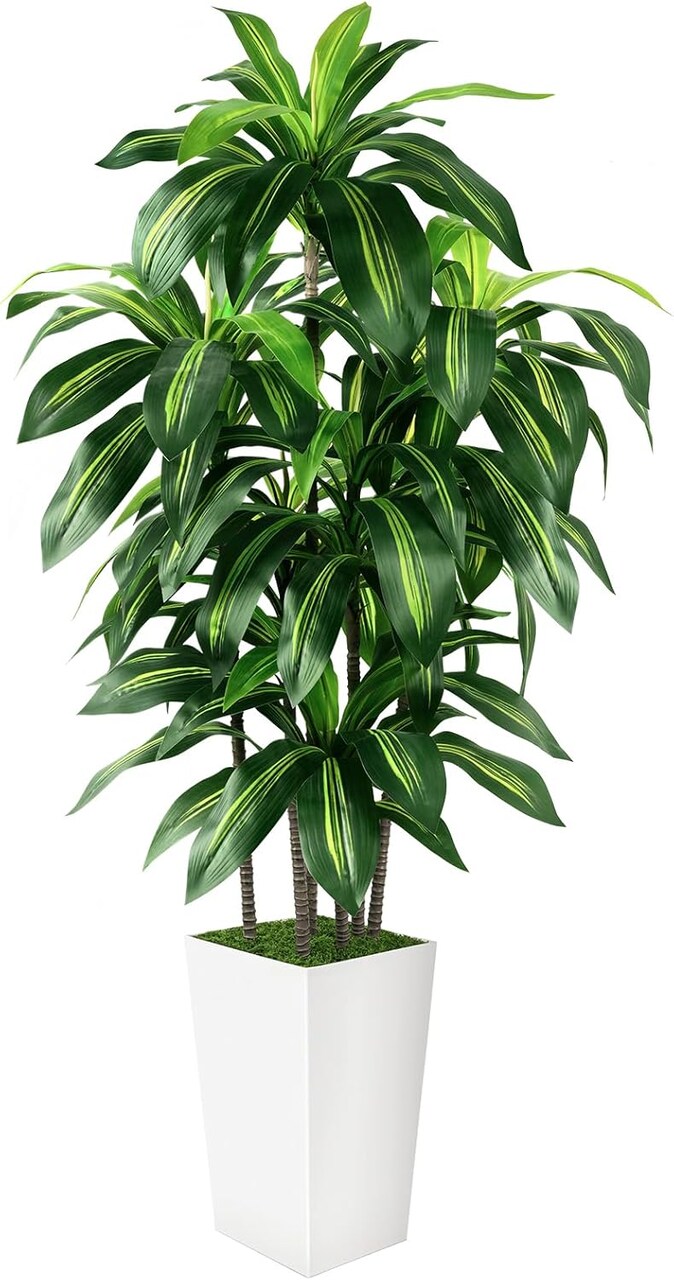 5ft Artificial Dracaena Tree – Faux Yucca with White Tall Planter for Home & Office Decor, Perfect for Housewarming